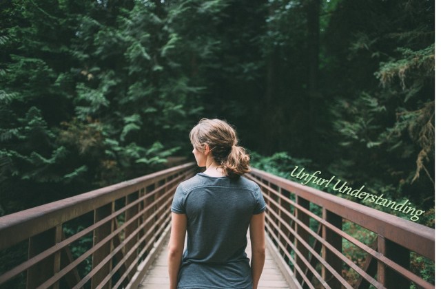 Unfurl Understanding